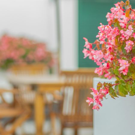 Comercial Boutique Guest House Ponta Delgada Buitenkant foto