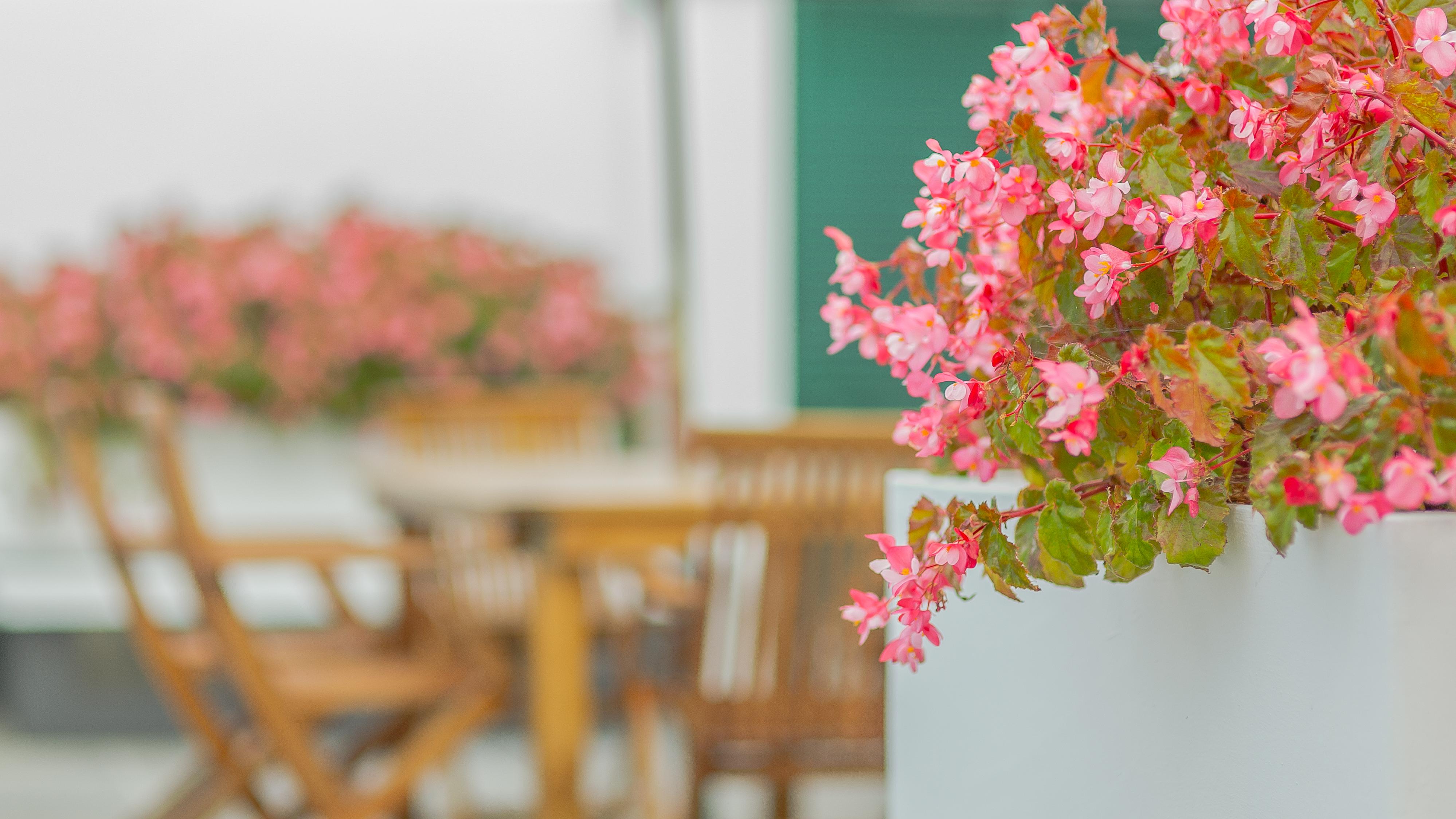Comercial Boutique Guest House Ponta Delgada Buitenkant foto